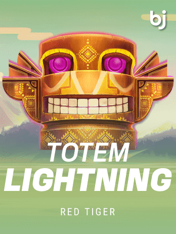 Totem Lightning icon